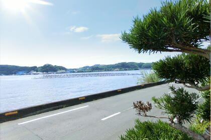 和風コテージばんぶー／道を挟んで浜名湖