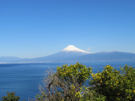 海の向こうには雄大な富士山