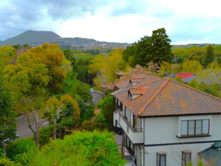 緑に囲まれたロケーション