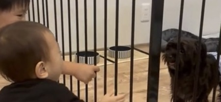 愛犬も泊まれる🐶